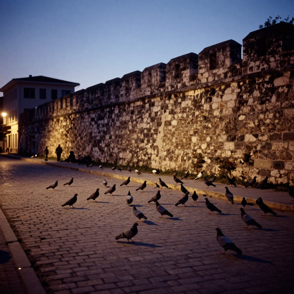 Twilight Street Scene in Izmir Turkey with Pigeons on Cobblestones in in Izmir, Turkey