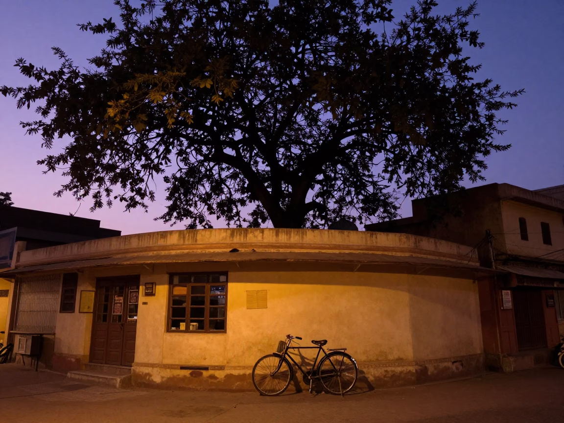 Twilight Street Scene in Jaipur India with Banyan Tree and Bicycle Near Bakery in in Jaipur, India