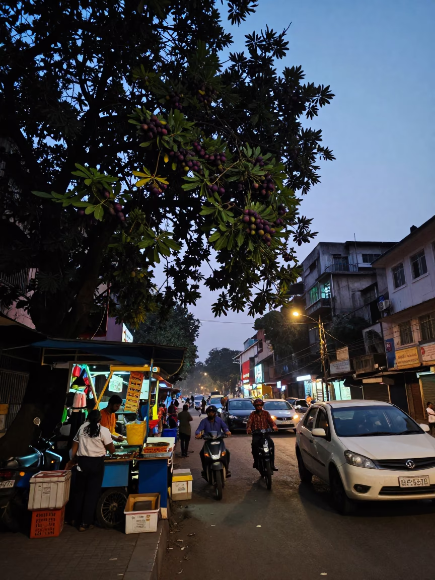 Twilight Street Scene in Kolkata India with Fig Tree and Urban Activity in in Kolkata, India