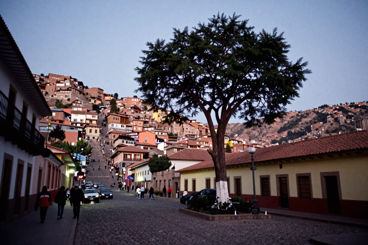 Twilight Street Scene in La Paz Bolivia with Tamarind Tree and Local Market Activity in in La Paz, Bolivia