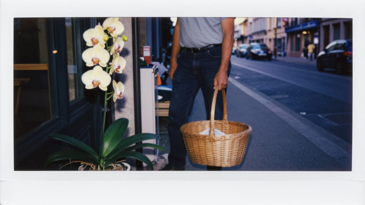 Twilight Street Scene in Lyon France with Basket and Vanilla Orchid Climbing Pole in in Lyon, France