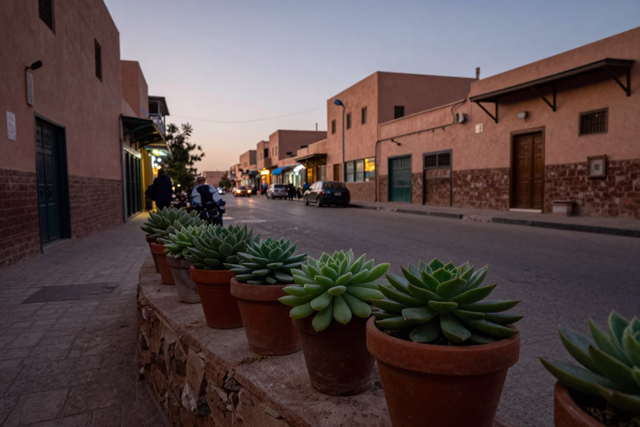 Twilight Street Scene in Marrakech Morocco with Potted Succulents and Local Market Activity in in Marrakech, Morocco