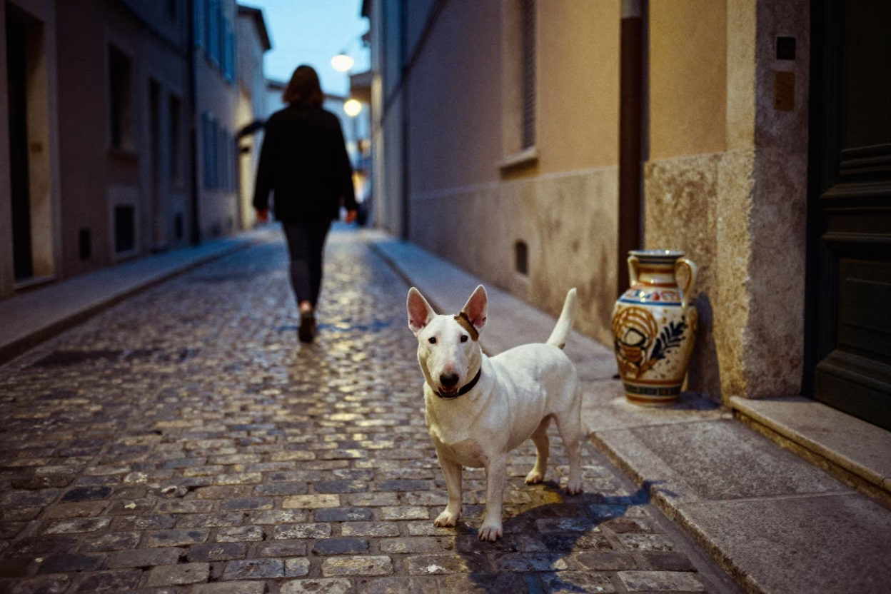 Twilight Street Scene in Marseille France with Bull Terrier and Ceramic Pitcher in in Marseille, France
