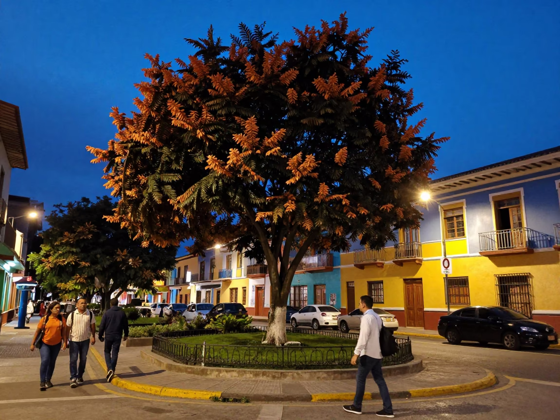 Twilight Street Scene in Medellin Colombia with Copper Beech and Colorful Architecture in in Medellin, Colombia