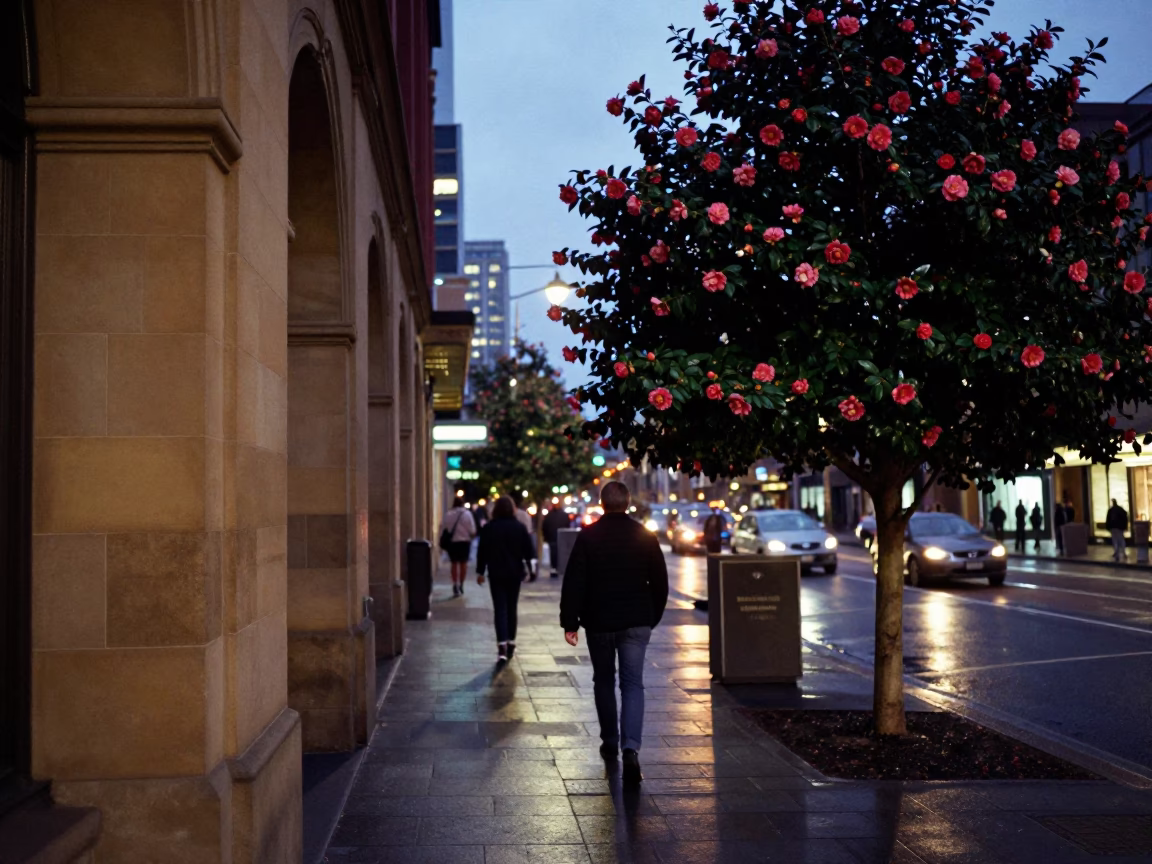 Twilight Street Scene in Melbourne Victoria with Camellia and Urban Details in in Melbourne, Victoria, Australia