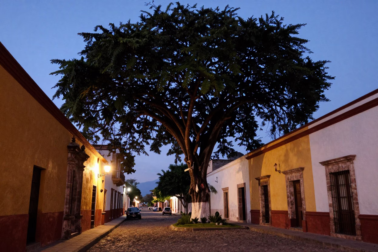 Twilight Street Scene in Merida Mexico with Banyan Grove and Vintage Ambiance in in Merida, Mexico