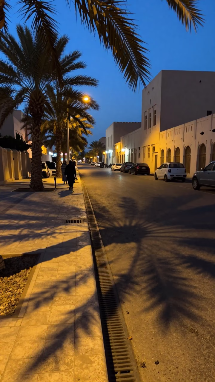 Twilight Street Scene in Muscat Oman with Leaf Shadows and Heritage Architecture in in Muscat, Oman