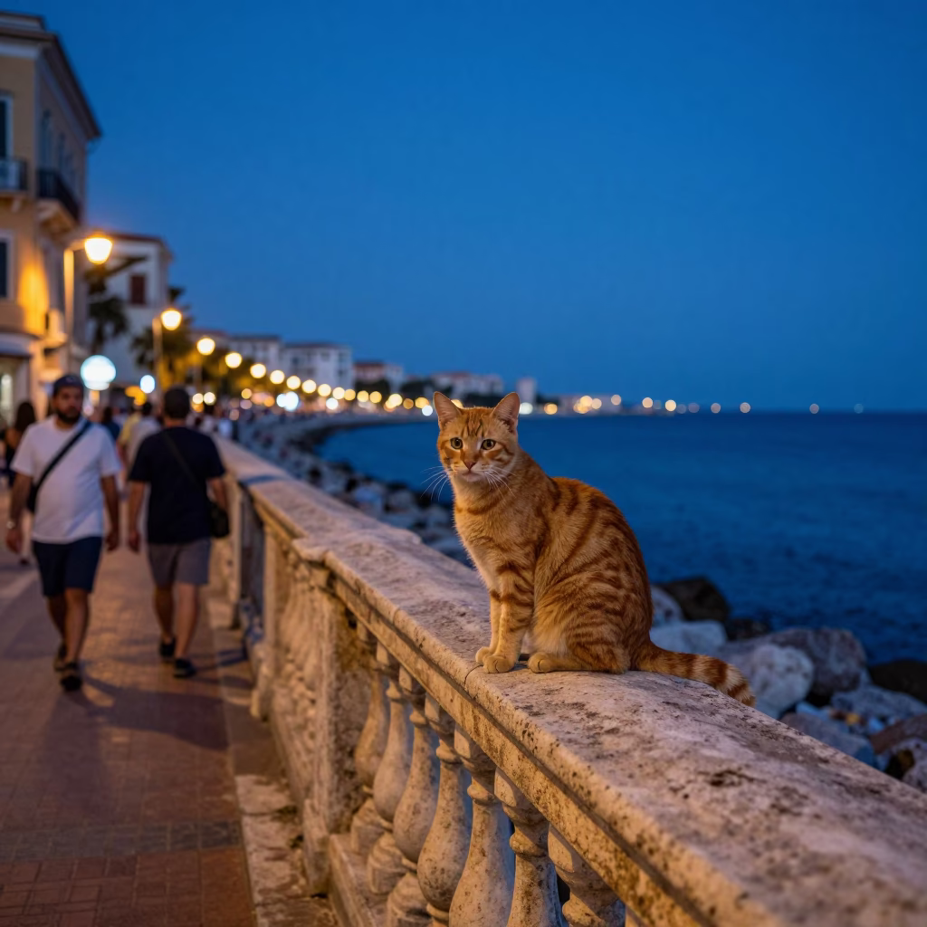 Twilight Street Scene in Naples Italy with Orange Cat and Coastal Life in in Naples, Italy