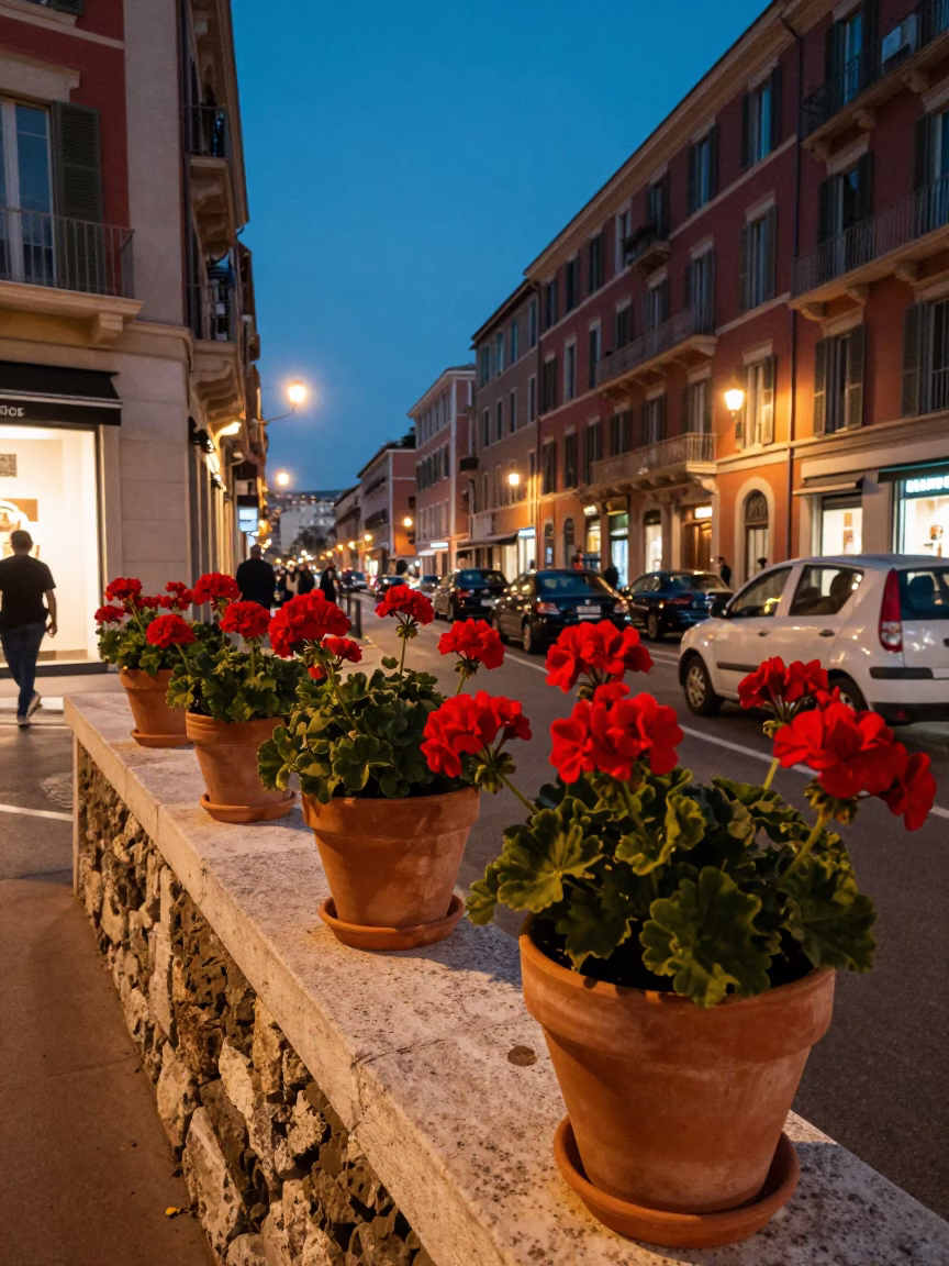 Twilight Street Scene in Nice France with Potted Geraniums and Vintage Details in in Nice, France