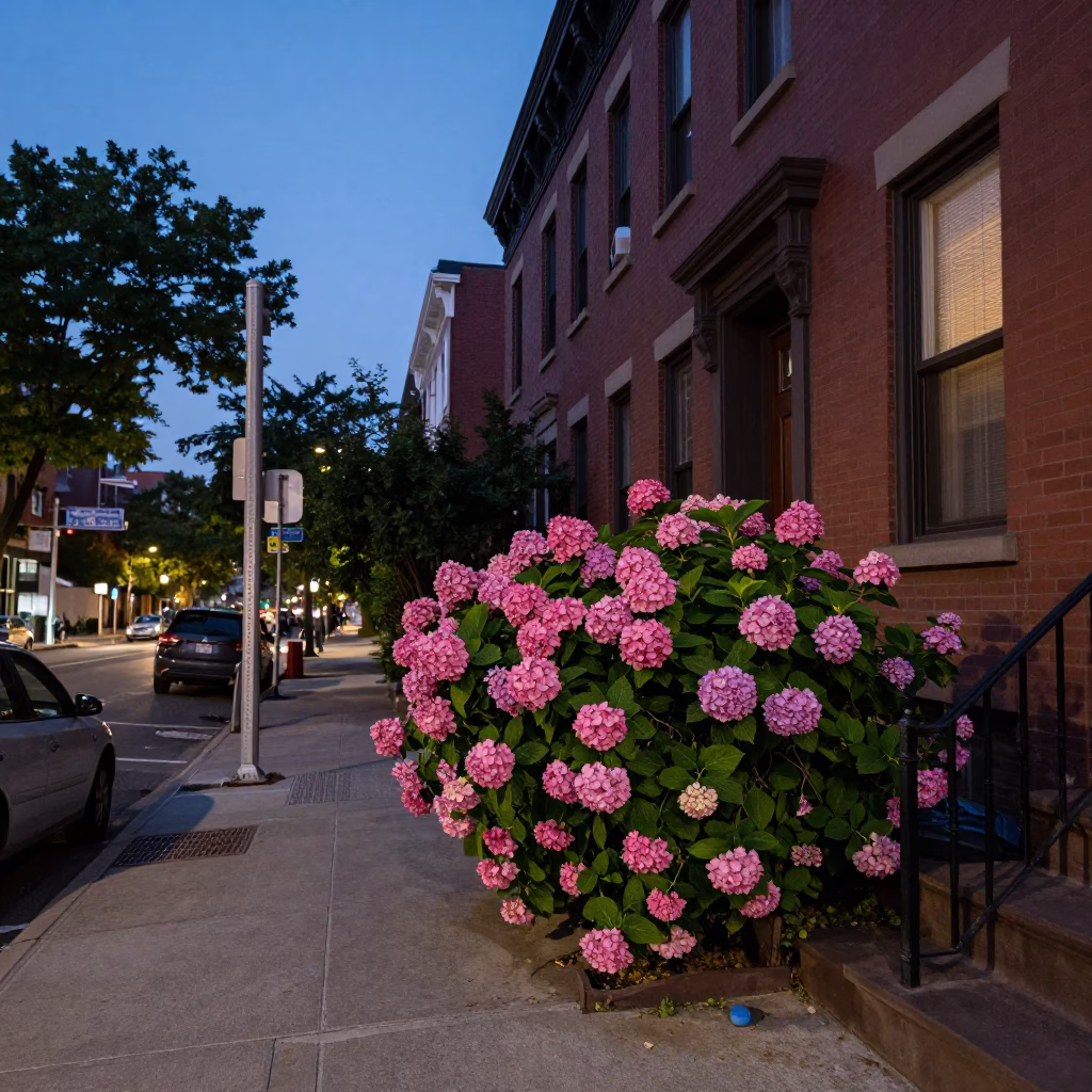 Twilight Street Scene in Philadelphia Pennsylvania with Hydrangeas and Urban Architecture in in Philadelphia, Pennsylvania, United States