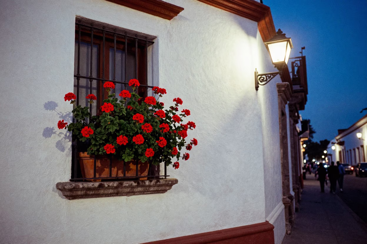 Twilight Street Scene in Quito Ecuador with Geraniums and Wall Sconce in in Quito, Ecuador