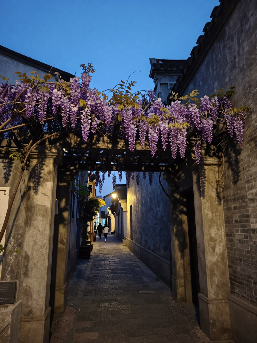 Twilight Street Scene in Shanghai China with Wisteria and Traditional Architecture in in Shanghai, China
