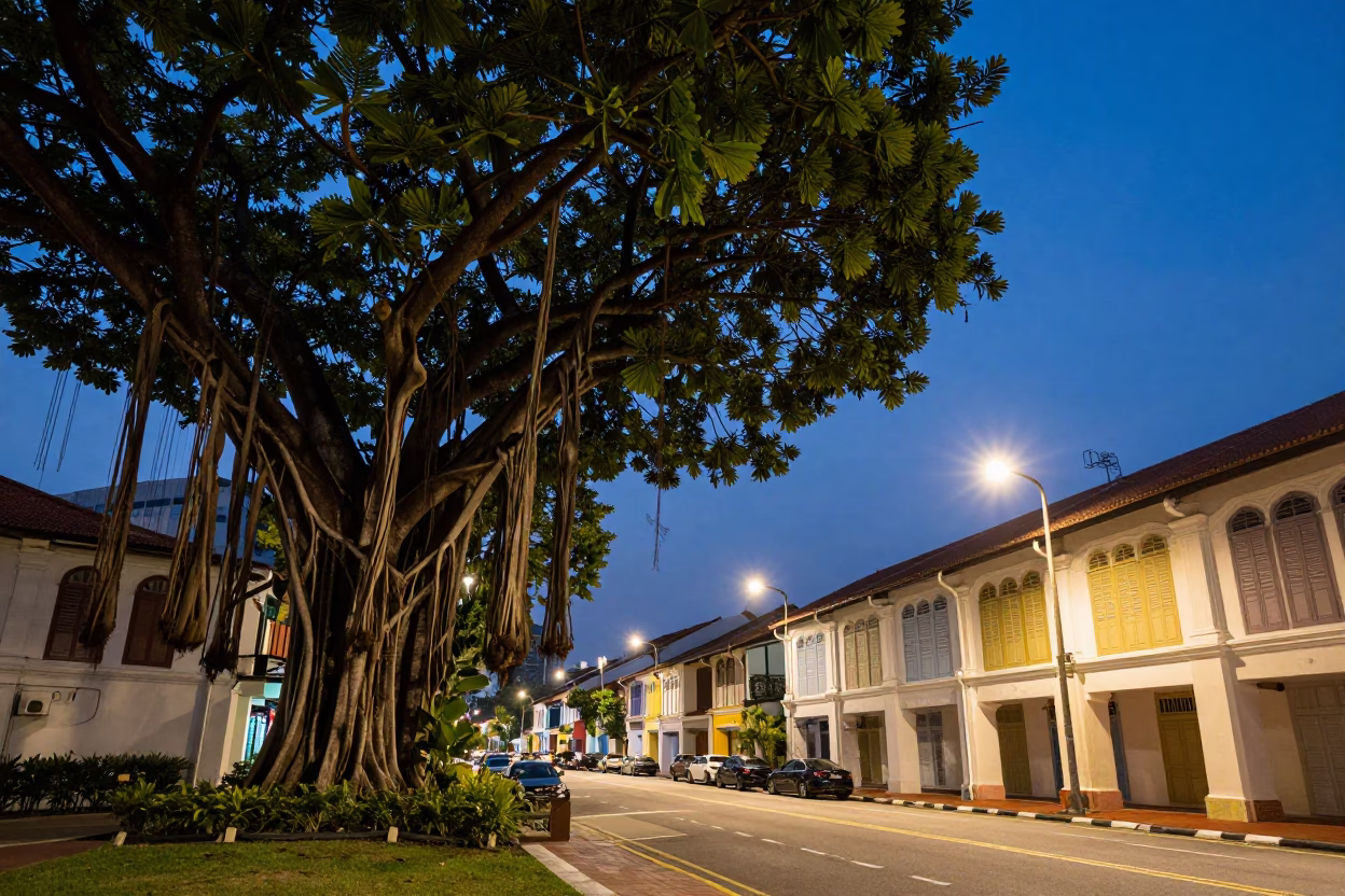 Twilight street scene in Singapore with banyan tree and vintage car at dusk in in Singapore, Singapore