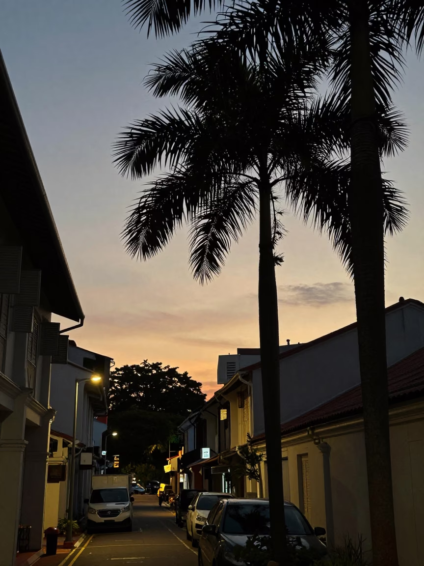Twilight street scene in Singapore with palm tree silhouette and lantern light in in Singapore, Singapore