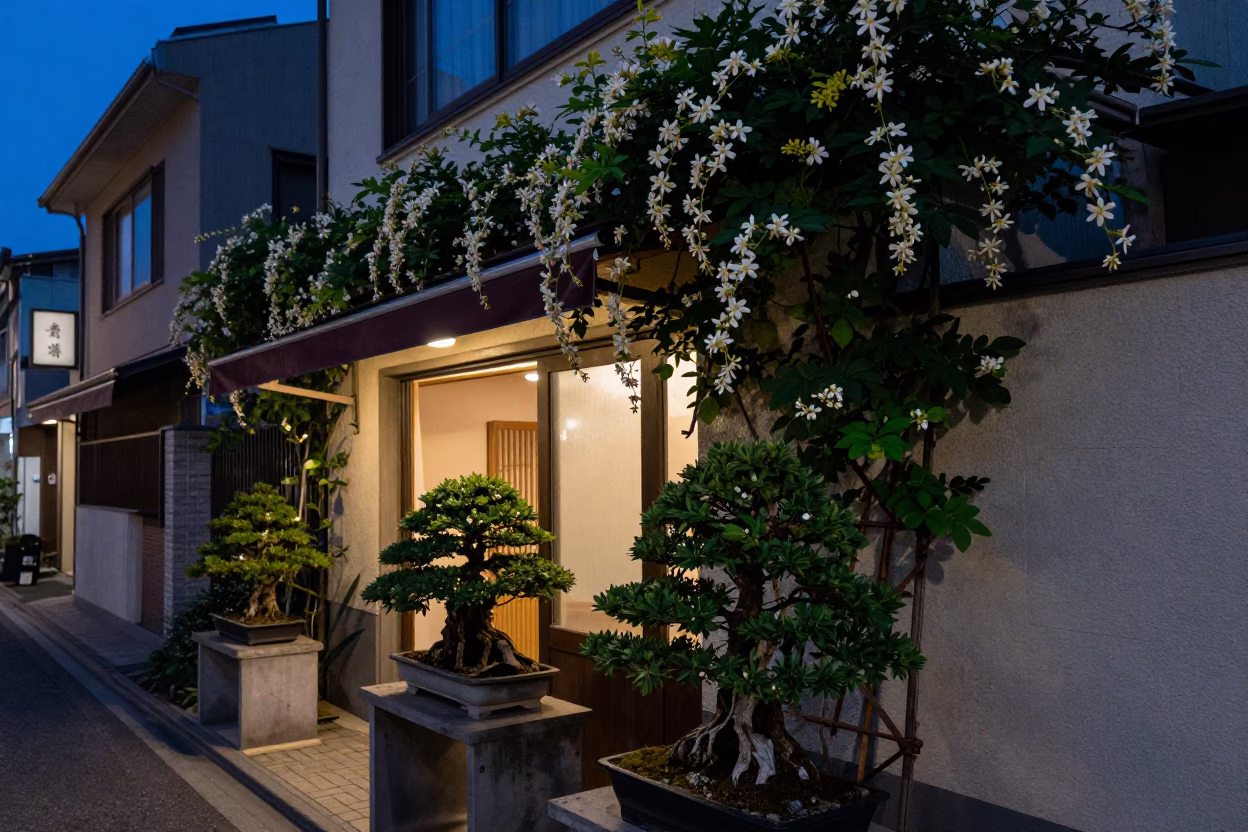 Twilight Street Scene in Tokyo Japan with Bonsai and Climbing Jasmine in in Tokyo, Japan