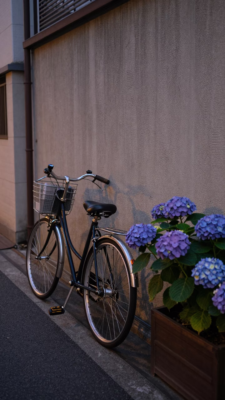 Twilight Street Scene in Tokyo Japan with Vintage Bicycle and Hydrangeas in in Tokyo, Japan