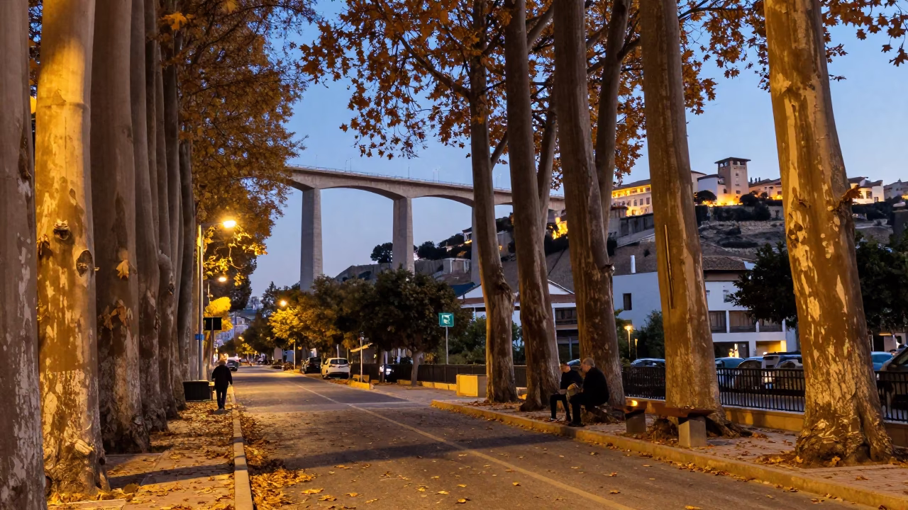 Twilight Street Scene in Valencia Spain with Larch Grove and Viaduct in in Valencia, Spain