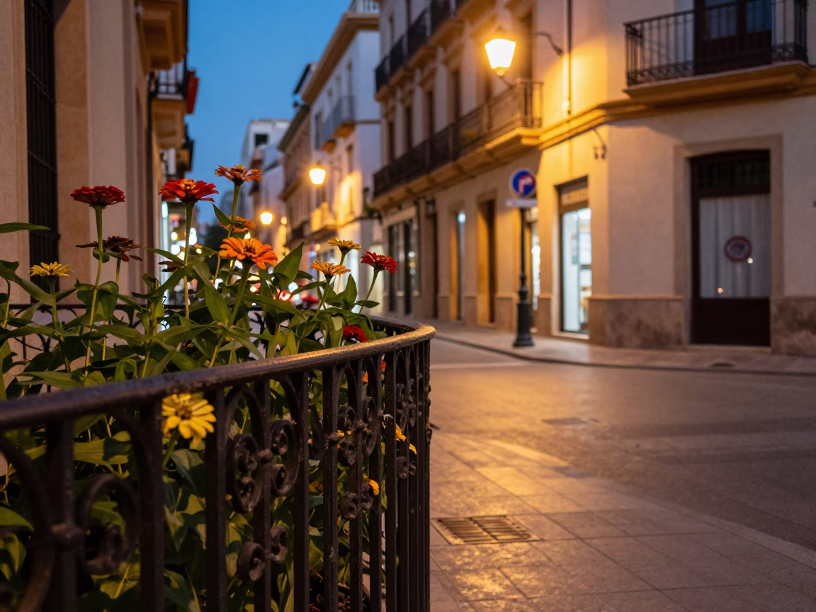 Twilight street scene in Valencia Spain with zinnias and city lights beginning to glow in in Valencia, Spain
