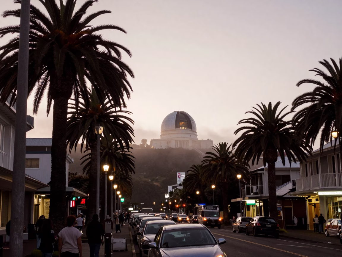 Twilight Street Scene in Wellington New Zealand with Observatory Dome and Palm Trees in in Wellington, New Zealand