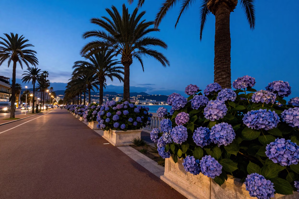 Twilight View of Nice France Promenade des Anglais with Hydrangeas and Condensation on Rim in in Nice, France