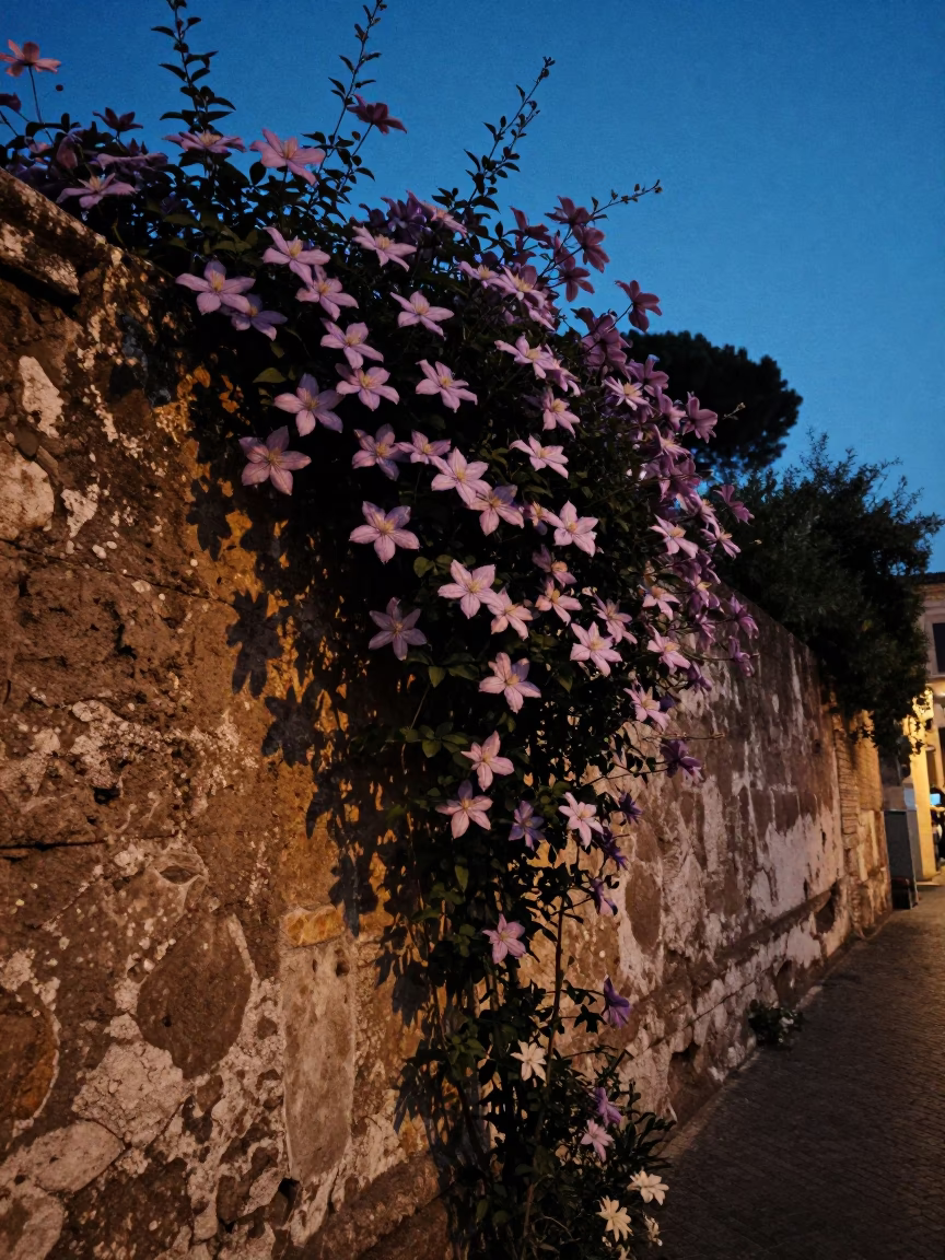 Twilight view of Rome Italy clematis vine stone wall indigo sky evening street scene in in Rome, Italy