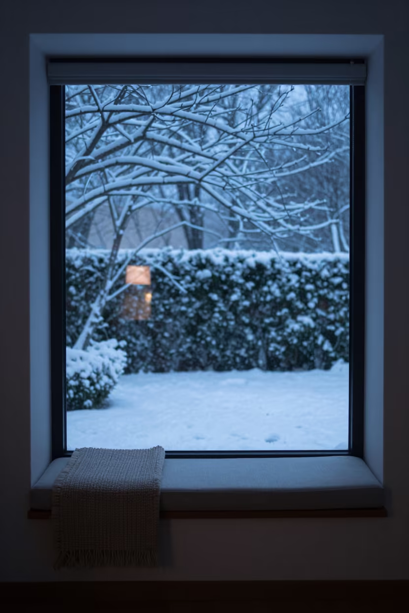 Twilight Windowseat Over Snowy Garden in Boconó in in a sunlit living room in Boconó