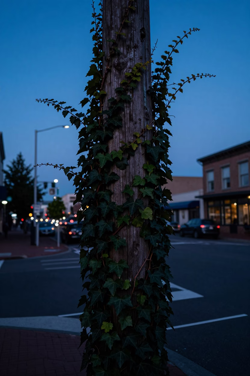 Urban Details at Indigo Twilight After Sunset in Portland in in Portland, Oregon, United States