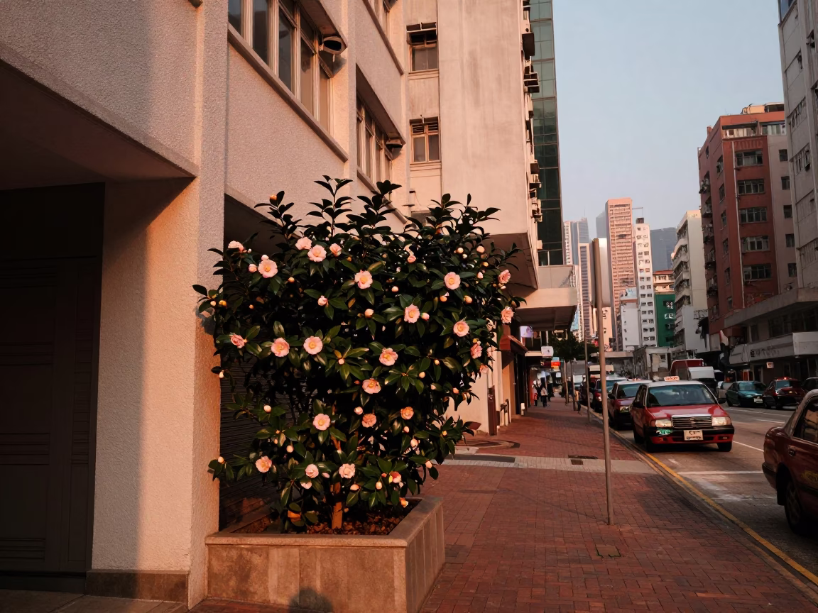 Urban Life in Hong Kong at Copper-toned Light Before Dusk in in Hong Kong, Hong Kong