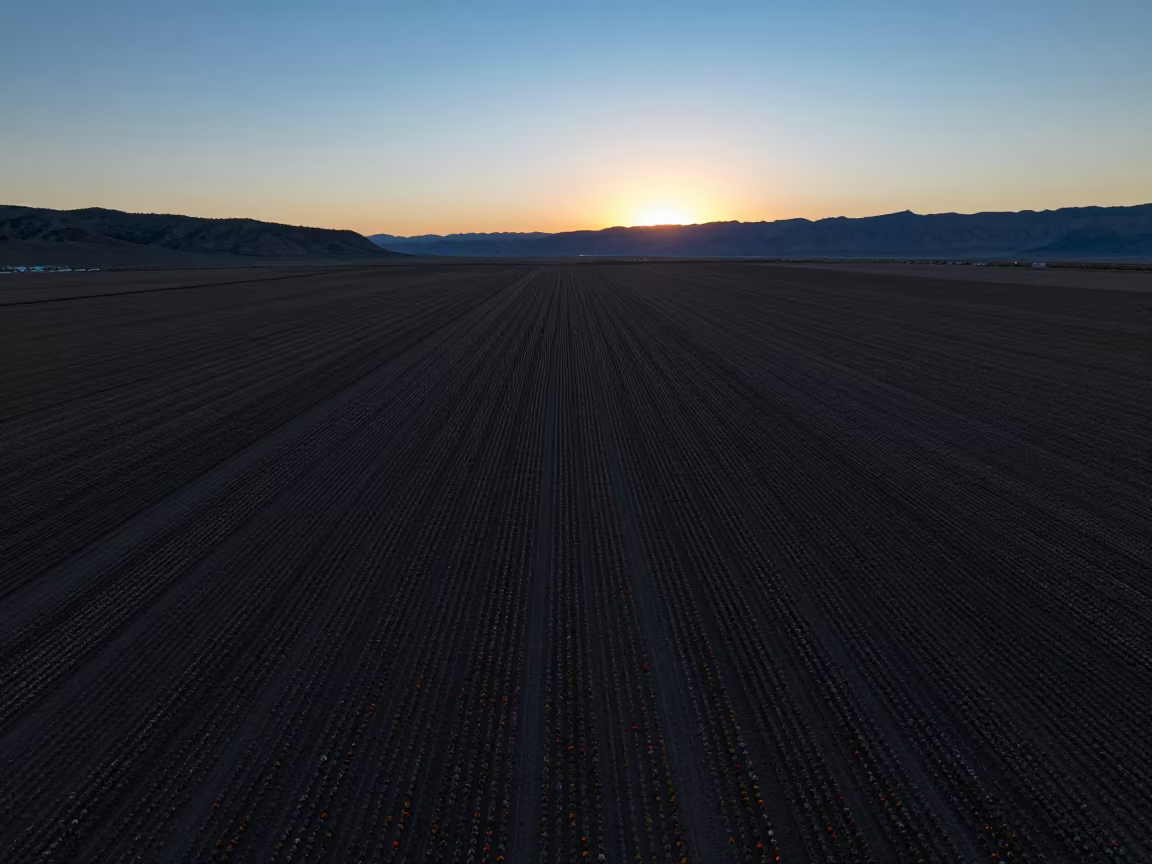 Utah Flower Fields Blue Hour Aerial View in in Utah