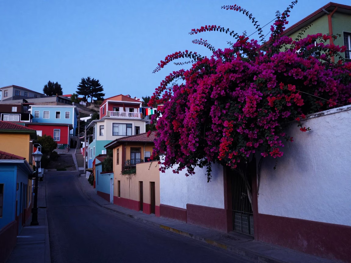 Valparaiso Chile Evening Street Scene with Bougainvillea and Clotheslines in Last Blue Light in in Valparaiso, Chile