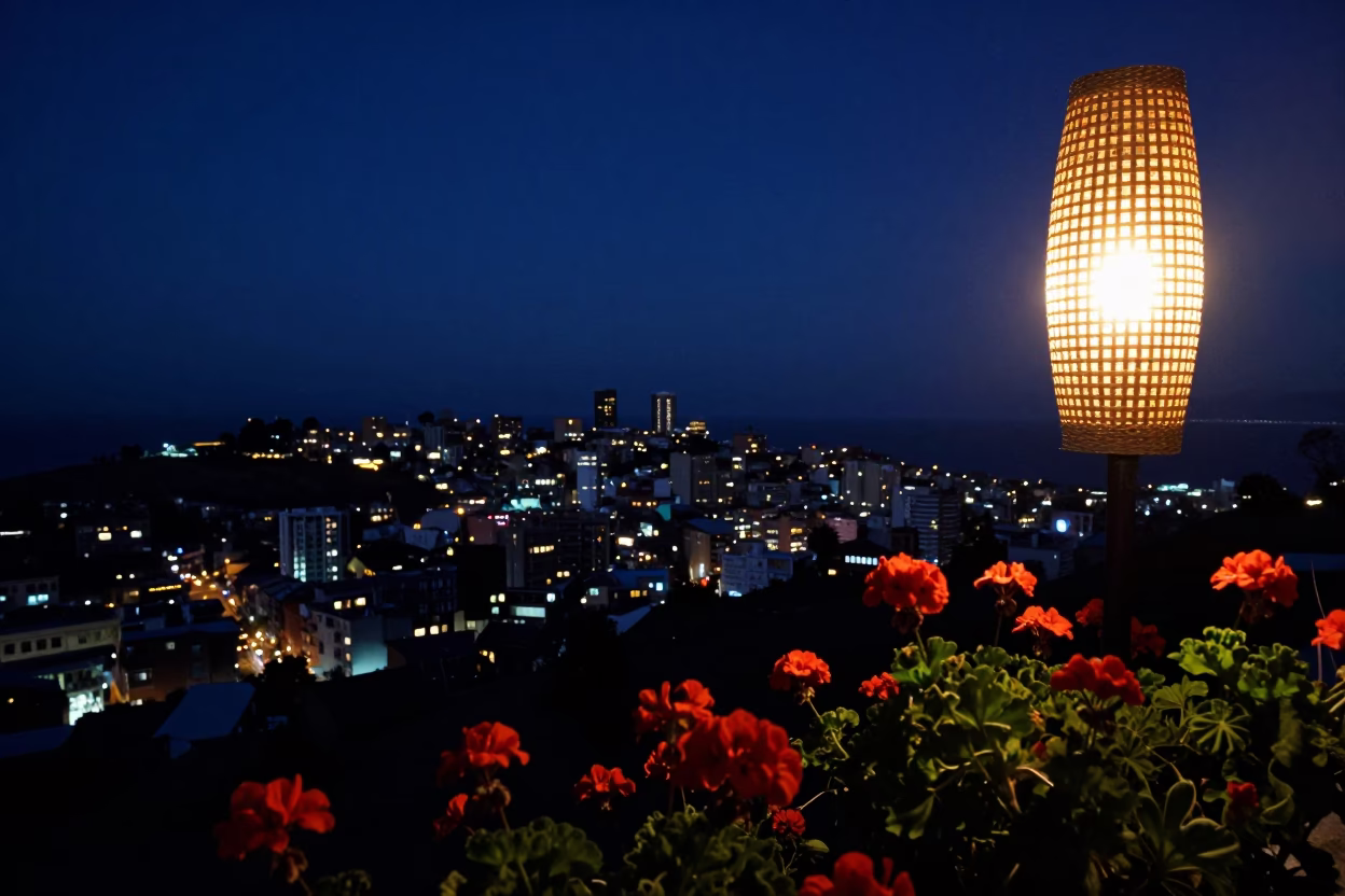 Valparaiso Chile Night Horizon Woven Cane Light Through Geraniums in in Valparaiso, Chile