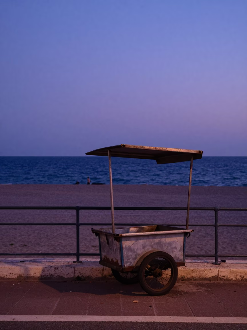 Vendor Cart in Nice in in Nice, France