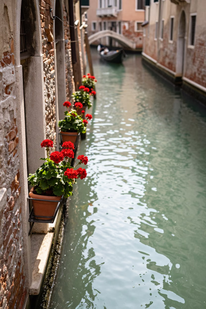 Venetian Canal Midday Scene with Potted Geraniums and Traditional Architecture in in Venice, Italy