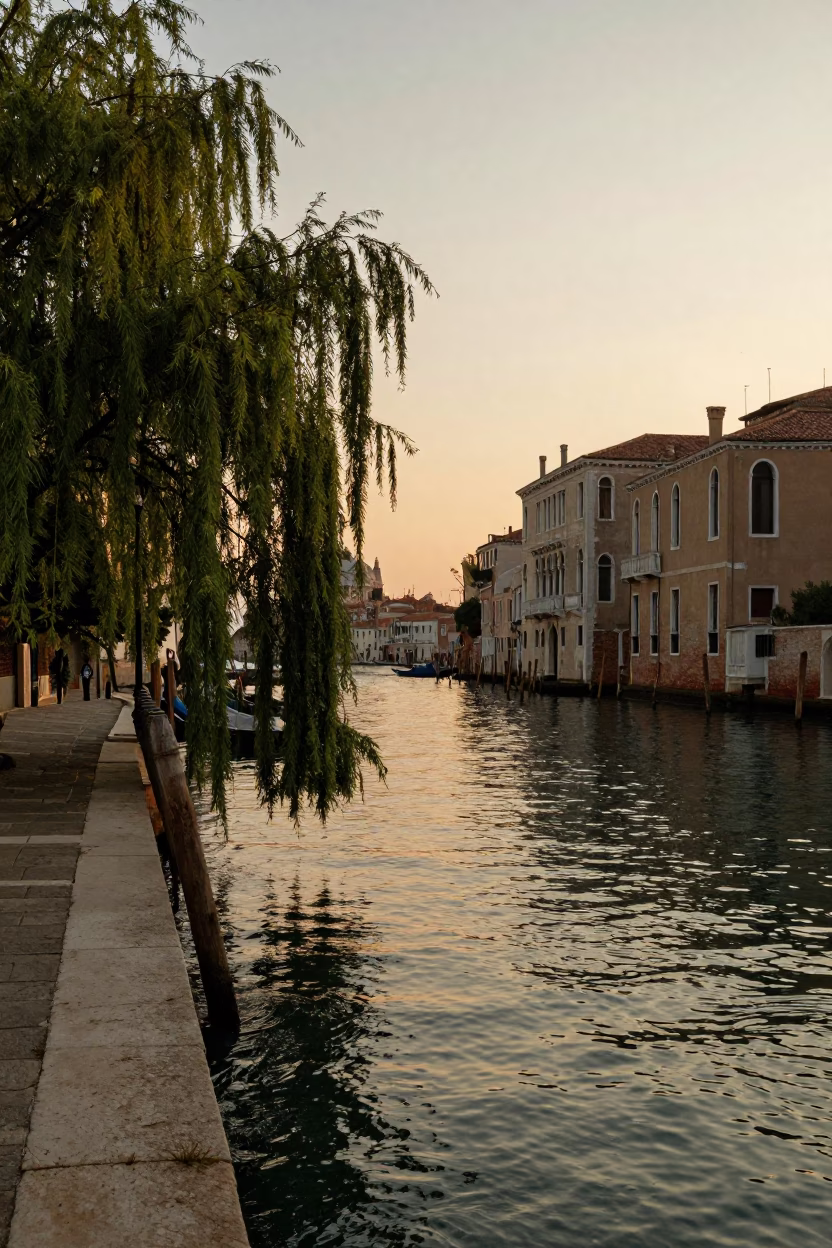 Venetian Sunset Canal Scene with Weeping Willow and Traditional Gondola Ride in Italy in in Venice, Italy