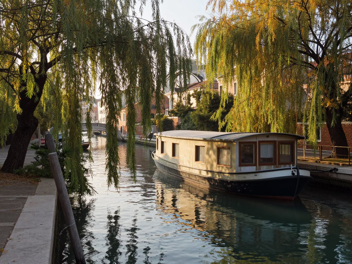 Venice Canal at Dawn with Moored Houseboat and Willows in in Venice, Italy