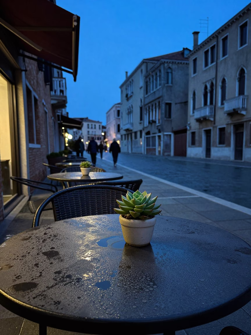 Venice Italy Blue Hour Street Scene with Condensation on Tabletop and Succulents in in Venice, Italy