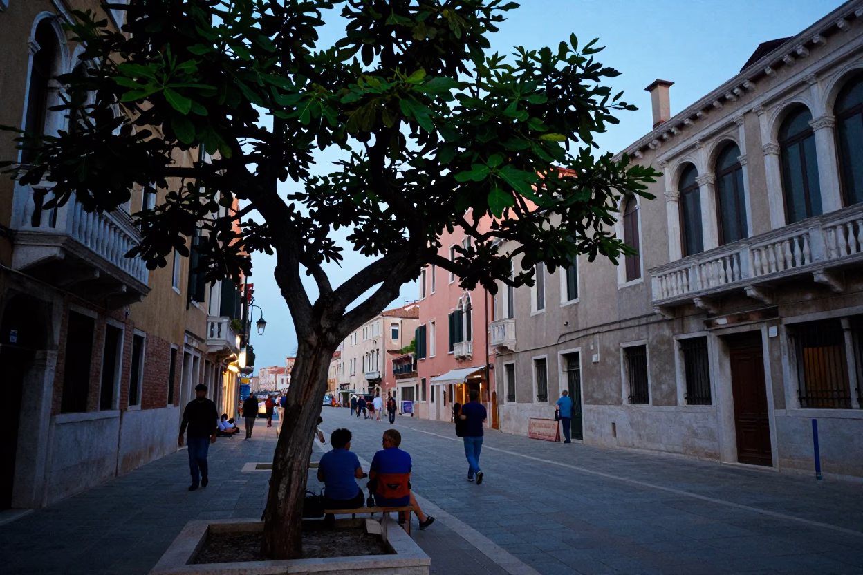 Venice Italy Blue Hour Street Scene with Fig Tree and Local Life in in Venice, Italy