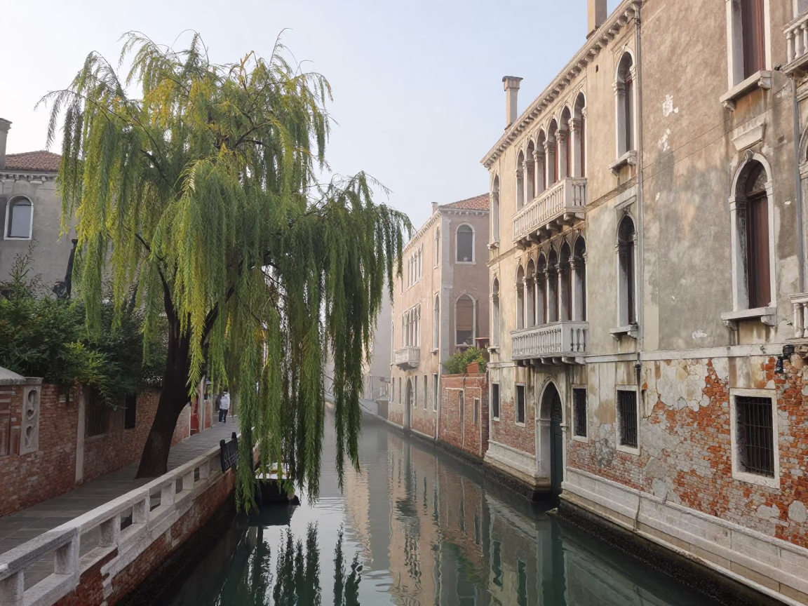 Venice Italy early morning canal scene with weeping willow and stone bridge in in Venice, Italy