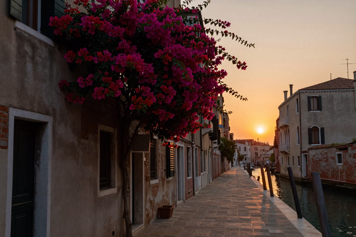 Venice Italy Sunset Street Scene with Bougainvillea and Lived-In Details in in Venice, Italy