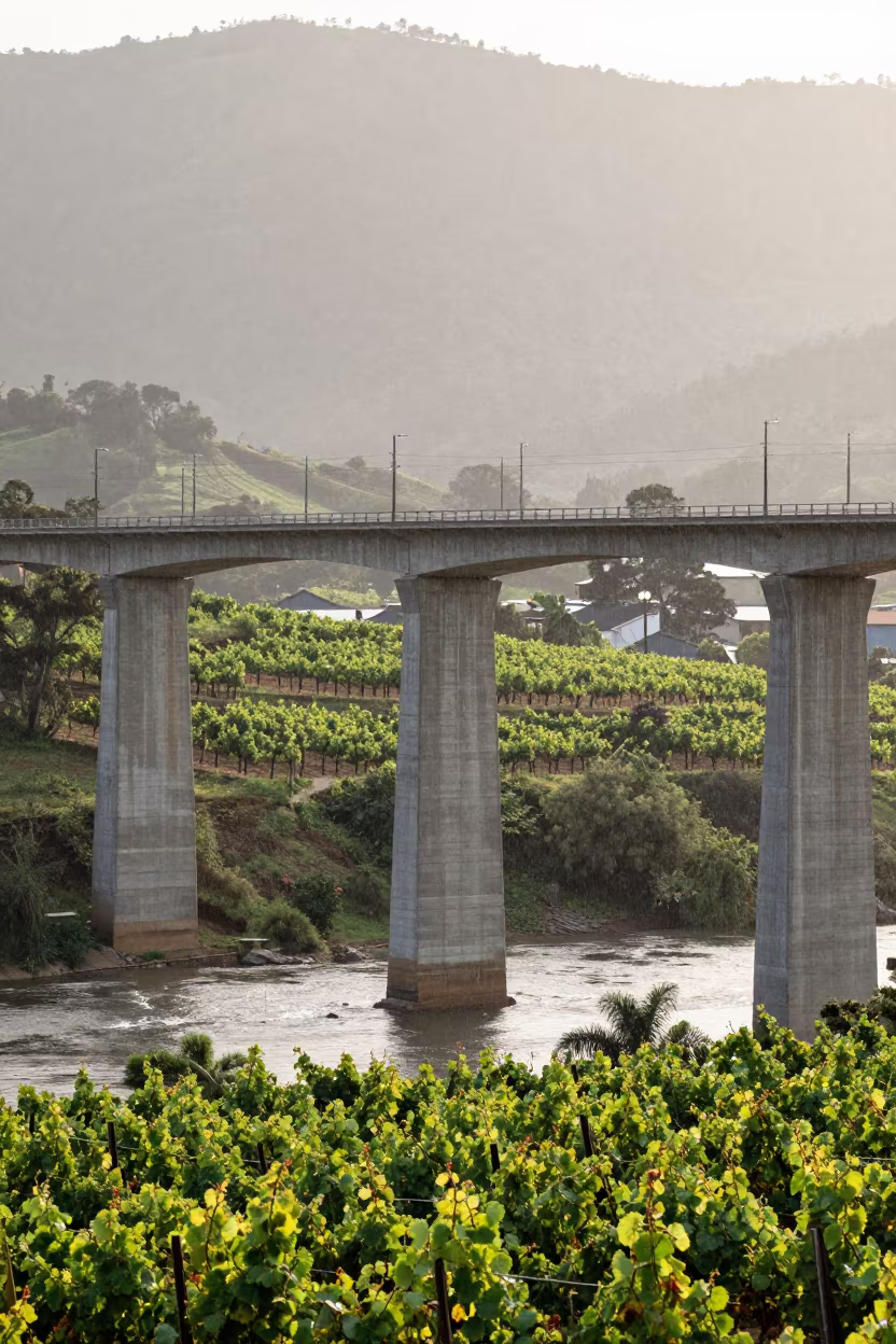 Viaduct Over Vineyard in Salvador Afternoon Drizzle in beside a bridge pier above moving water in Salvador