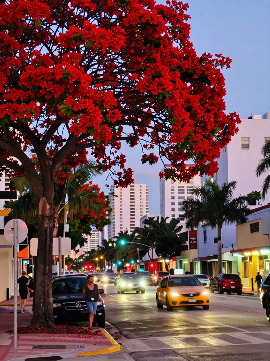 Vibrant 1970s Miami Street Scene with Flame Tree Bloom and City Lights in in Miami, Florida, United States