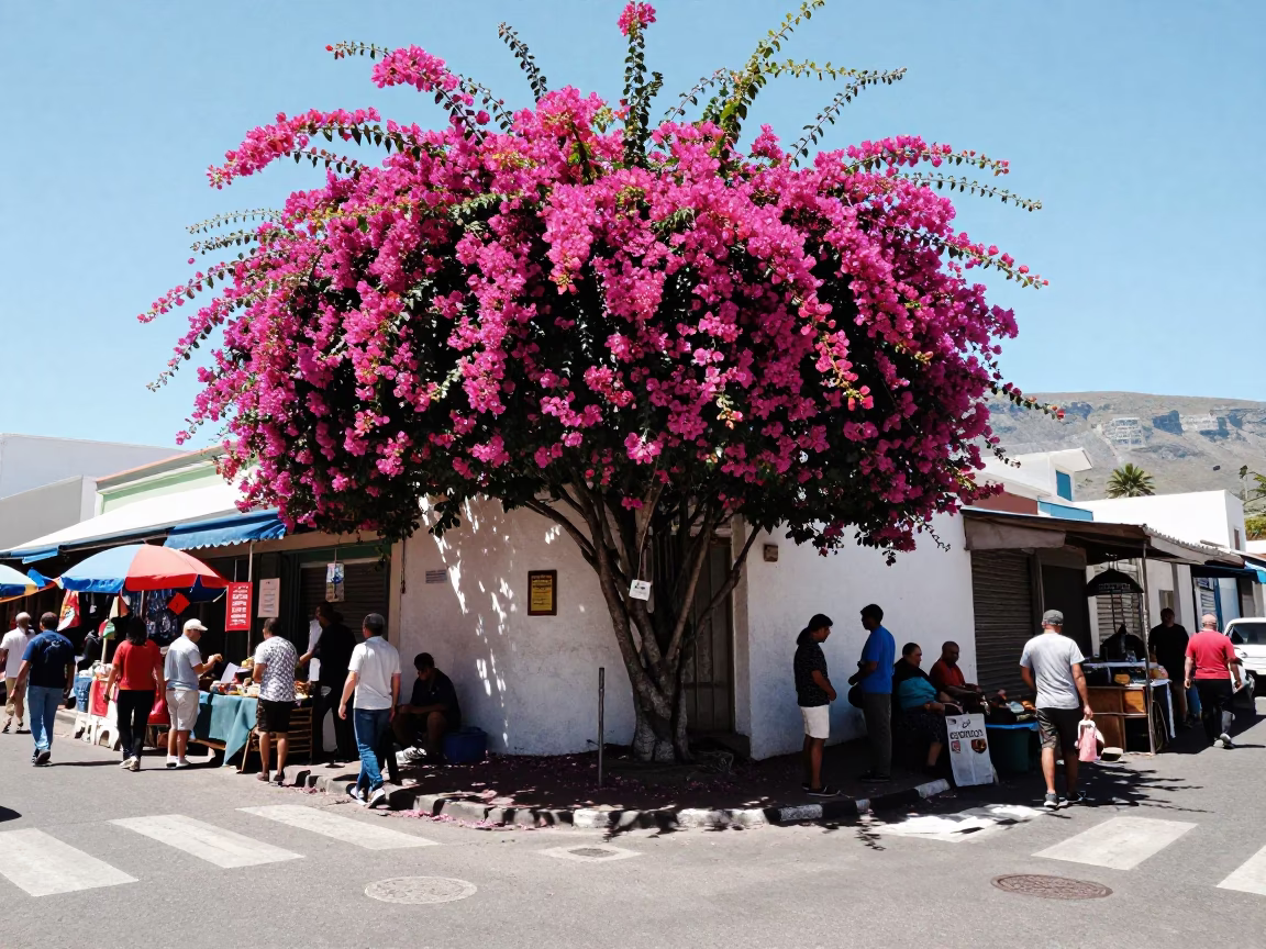 Vibrant Cape Town Street Scene with Bougainvillea and Local Market Activity at Noon in in Cape Town, South Africa