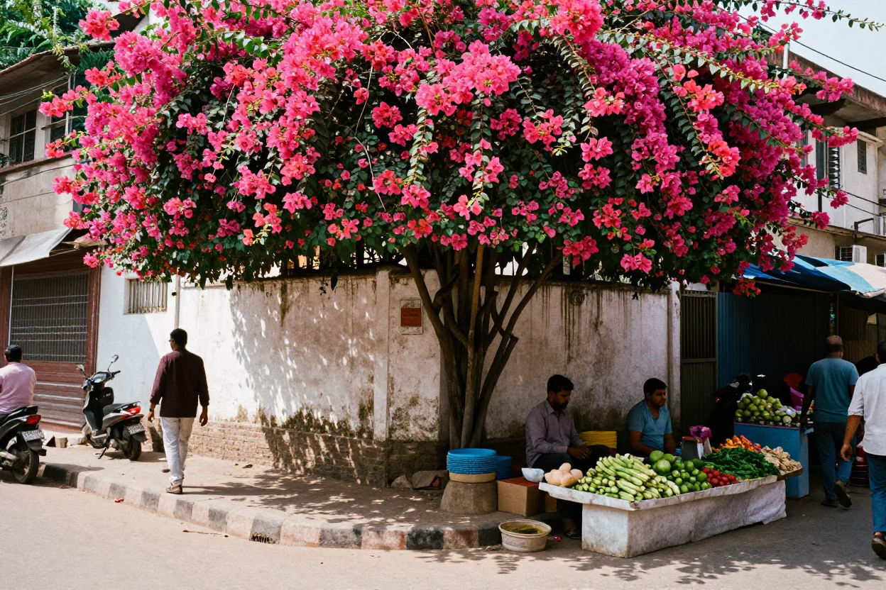 Vibrant Delhi Street Scene with Bougainvillea and Local Market Activity in in Delhi, India