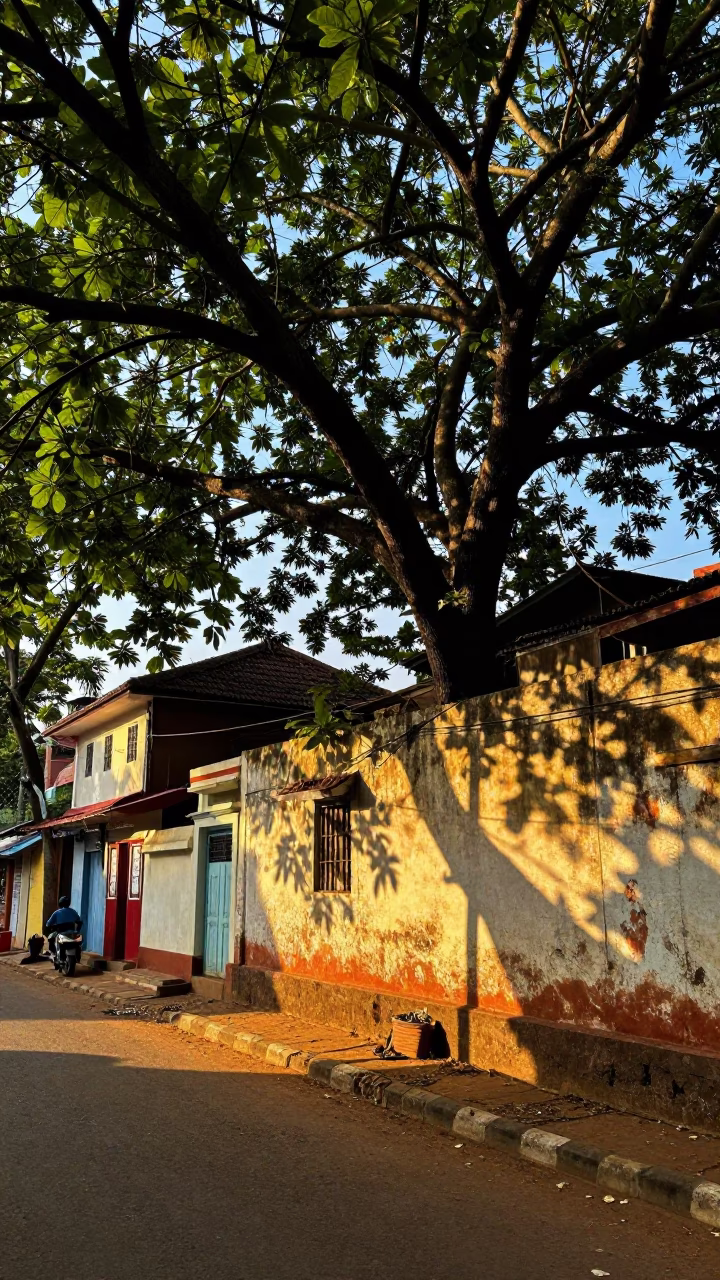 Vibrant late afternoon street scene in Kochi India with leaf shadows and local commerce in in Kochi, India