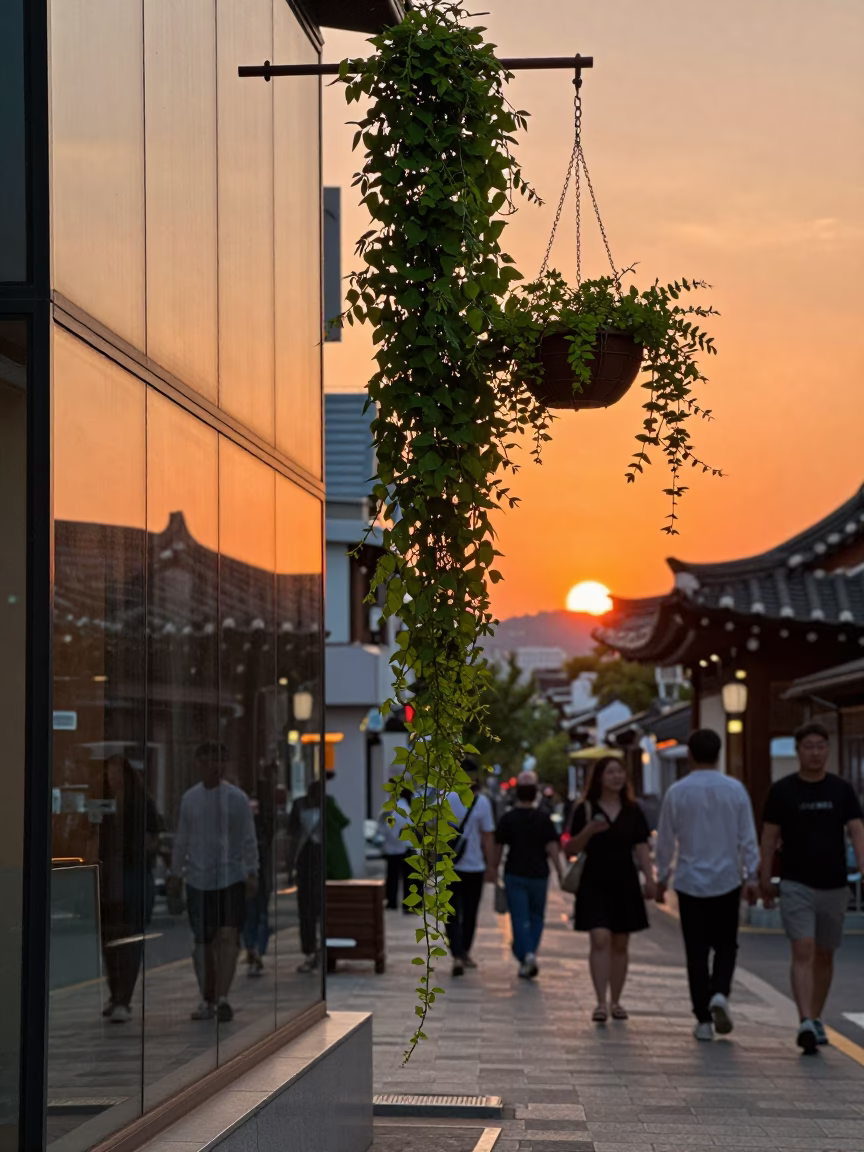 Vibrant Seoul Sunset Street Scene with Hanging Vine and Urban Details in in Seoul, South Korea