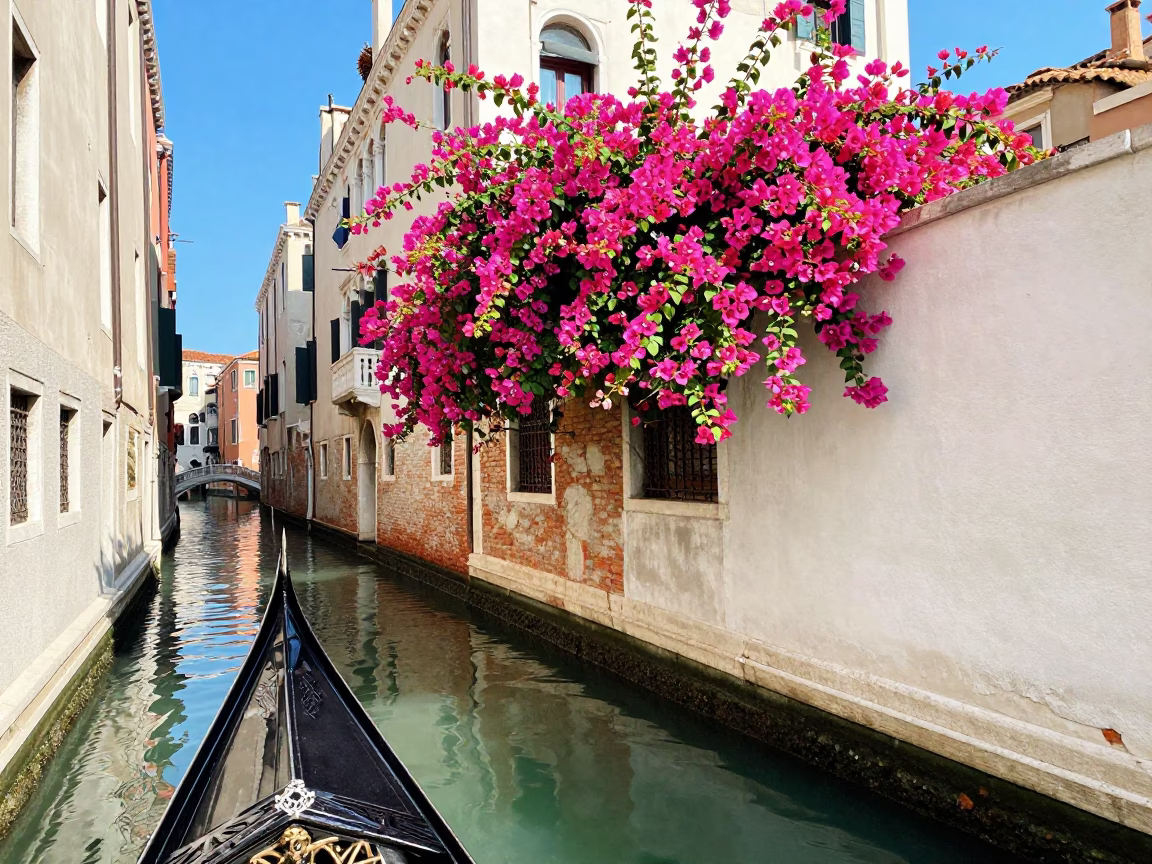 Vibrant Venice Canal Scene with Bougainvillea and Traditional Gondola in Bright Midmorning Light in in Venice, Italy