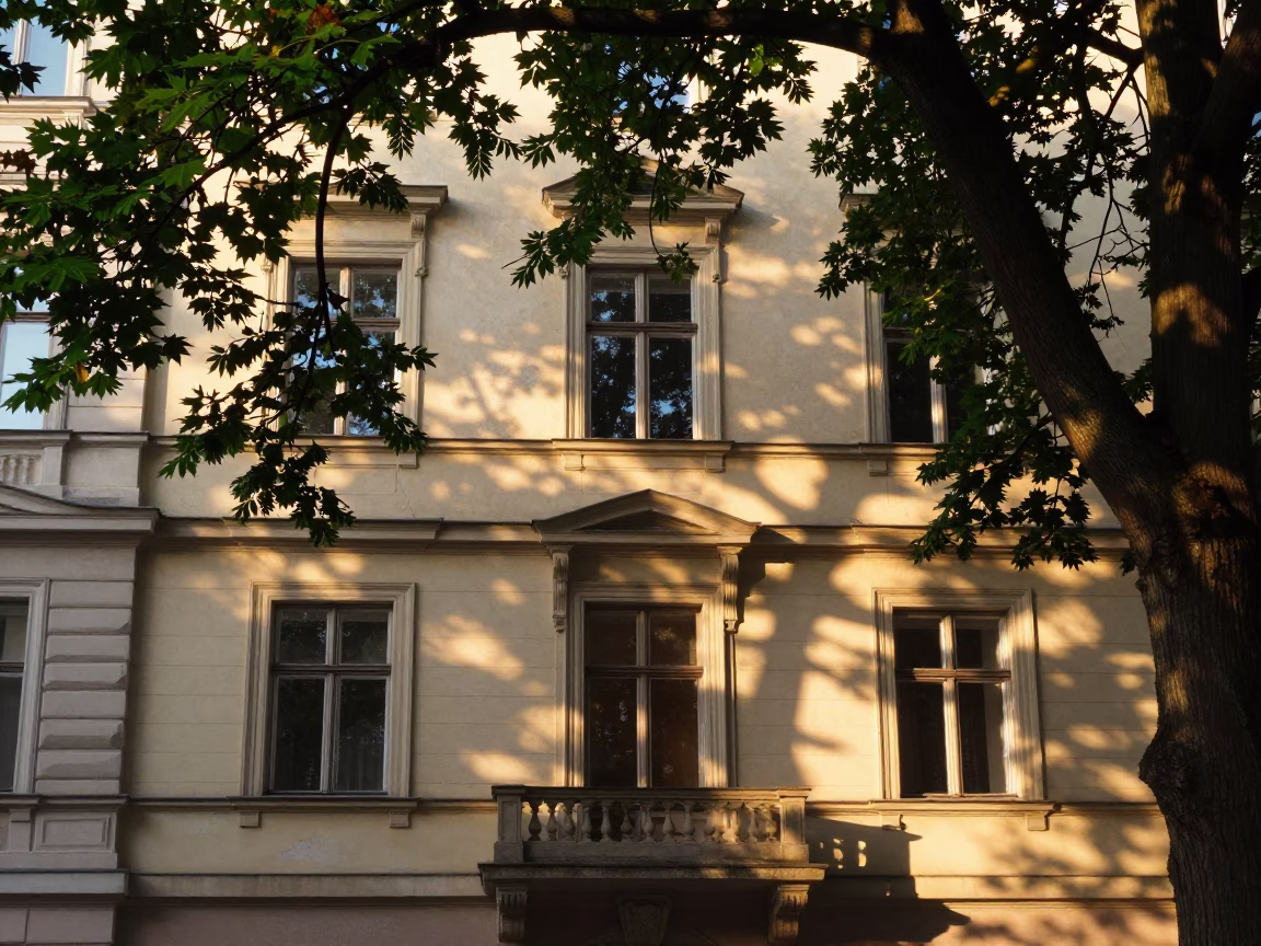 Vienna Austria Dawn Chestnut Tree Shadows on Building Facade in in Vienna, Austria