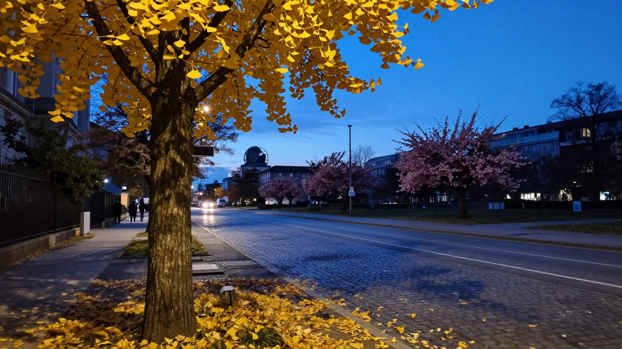 Vienna Austria Twilight Street Scene with Ginkgo Tree and Cherry Stall in in Vienna, Austria