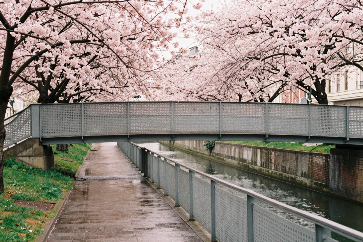 Vienna Canal Cherry Blossoms and Perforated Metal Overpass in Early Afternoon in in Vienna, Austria