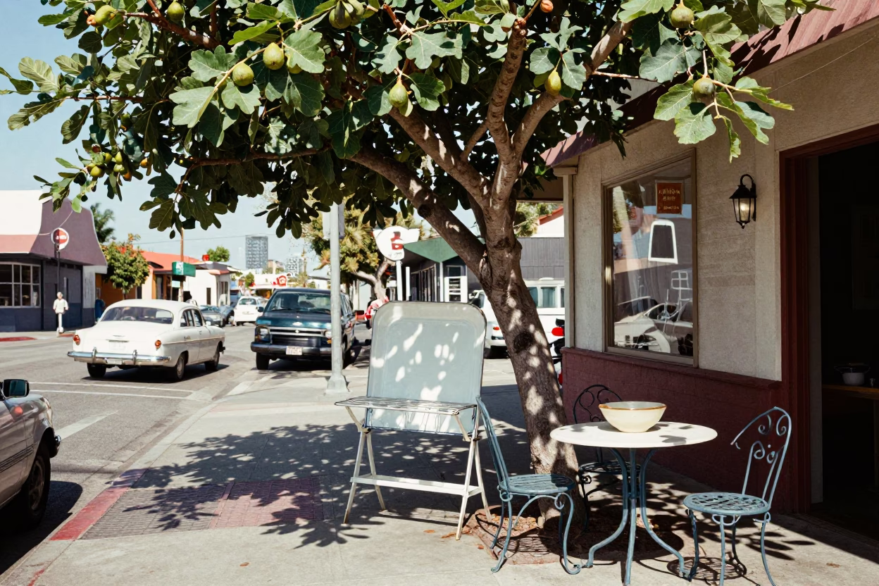 Vintage 1950s Los Angeles Street Scene with Fig Tree and Outdoor Dining in in Los Angeles, California, United States